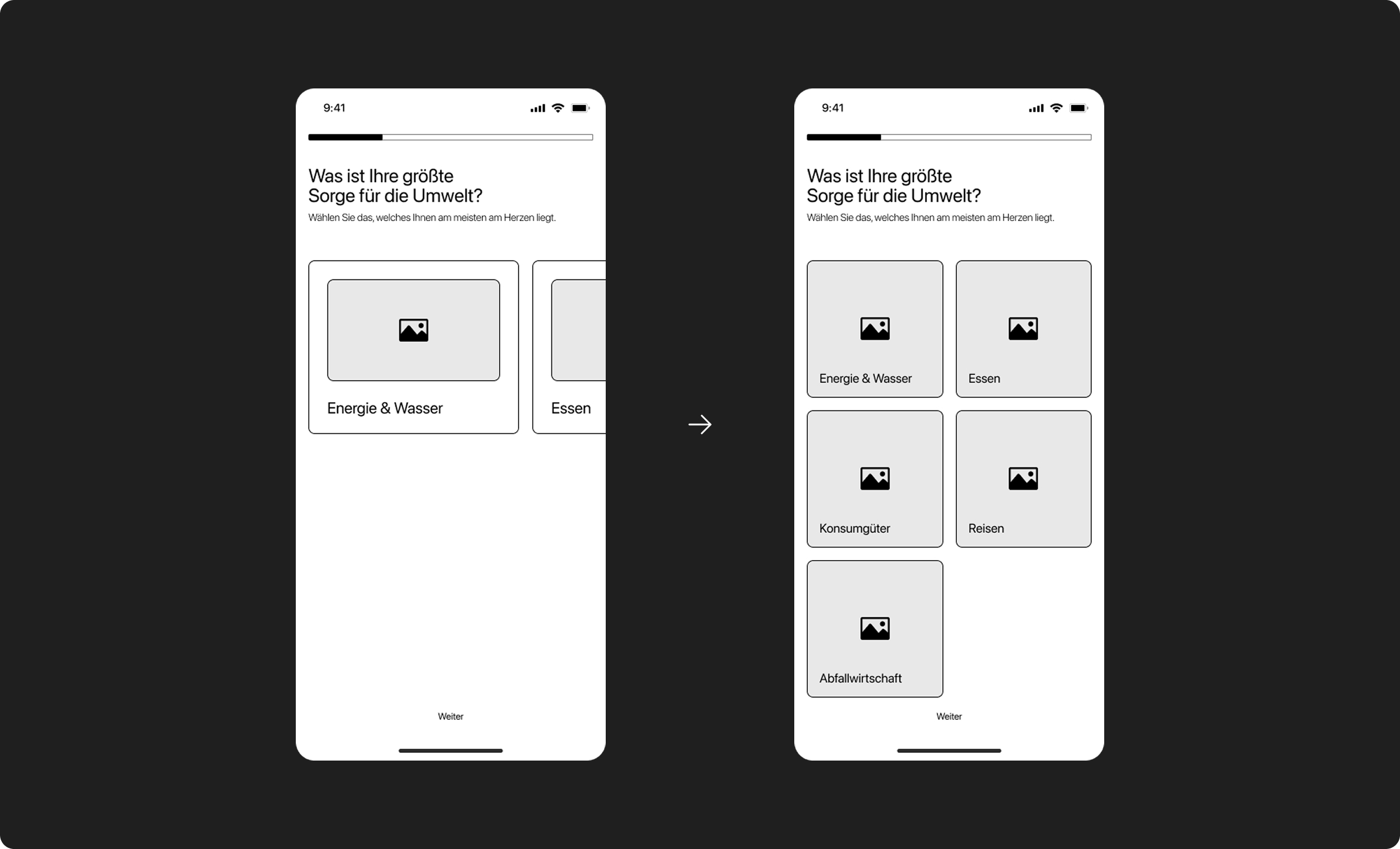 Cut side view of the inner system of a shell